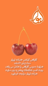 گیلاس لیوار گارانتی گیلاس لیوار