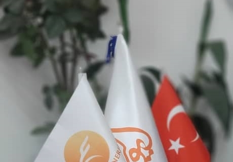 شرکت ایگل انرژی ترکیه