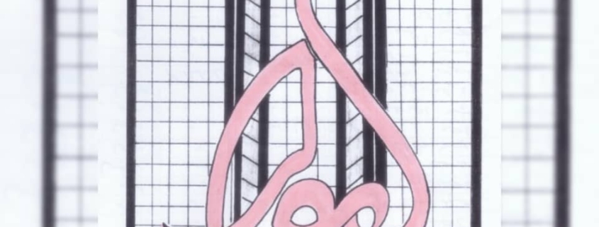 شهر آسانسور لیوار